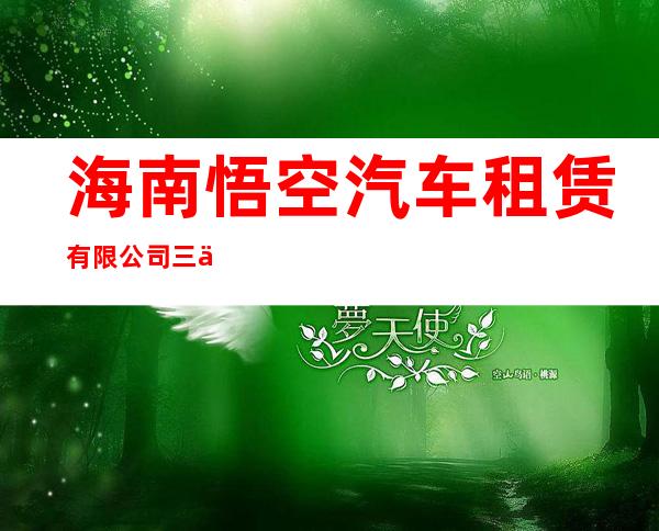 海南悟空汽车租赁有限公司三亚分公司