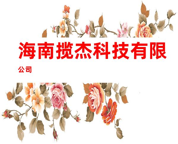 海南揽杰科技有限公司
