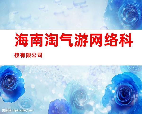 海南淘气游网络科技有限公司
