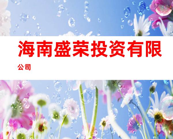 海南盛荣投资有限公司