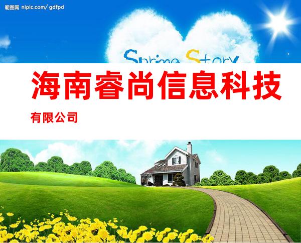 海南睿尚信息科技有限公司