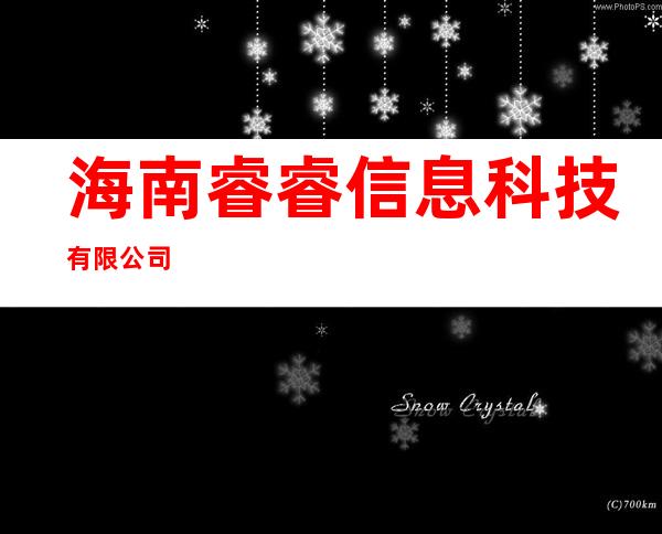 海南睿睿信息科技有限公司