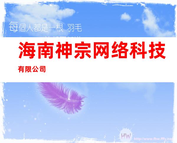 海南神宗网络科技有限公司