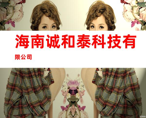 海南诚和泰科技有限公司