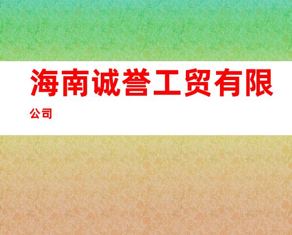 海南诚誉工贸有限公司