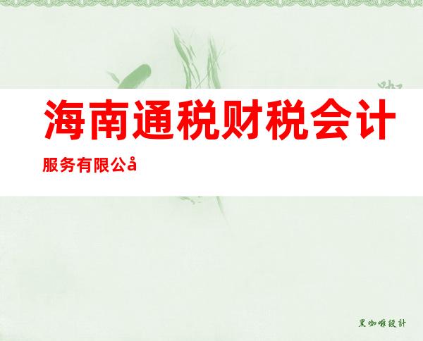 海南通税财税会计服务有限公司