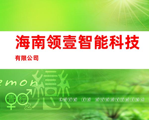 海南领壹智能科技有限公司
