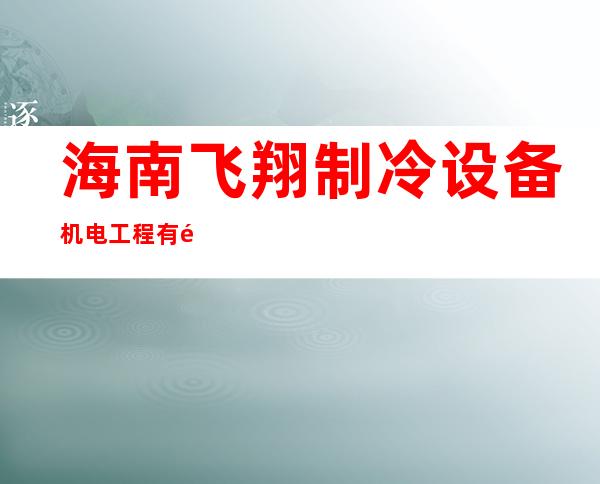 海南飞翔制冷设备机电工程有限公司