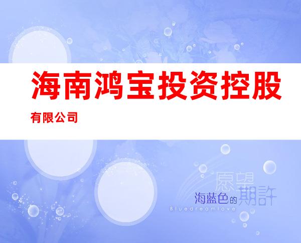 海南鸿宝投资控股有限公司