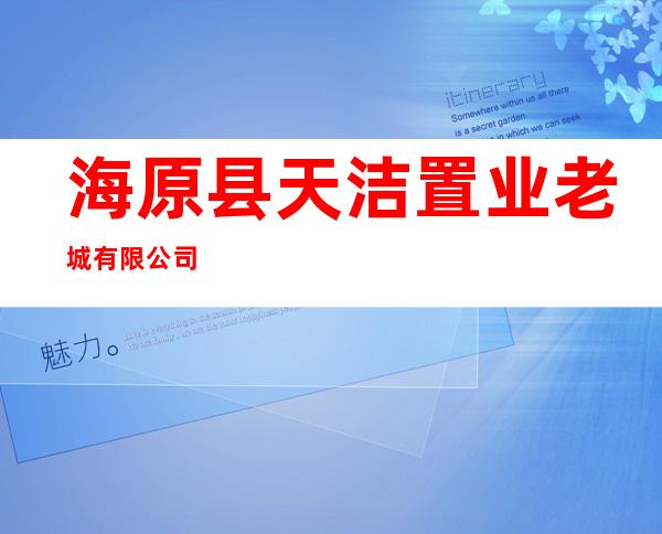 海原县天洁置业老城有限公司