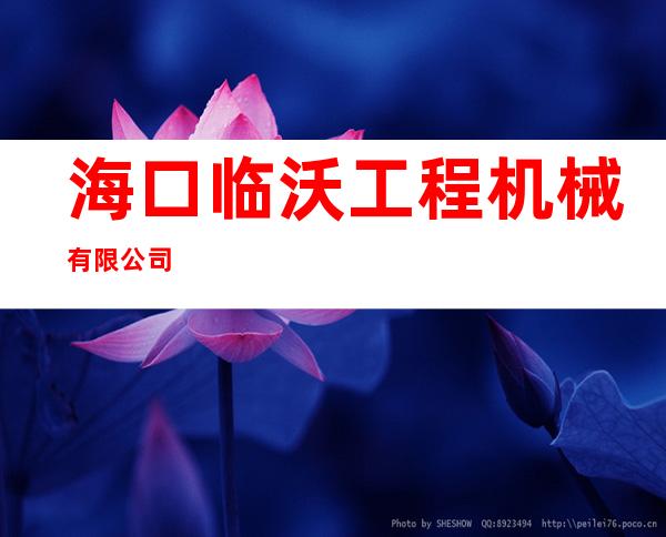 海口临沃工程机械有限公司