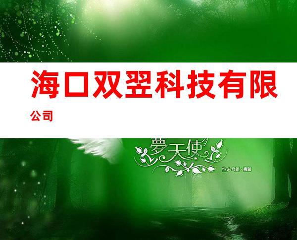 海口双翌科技有限公司