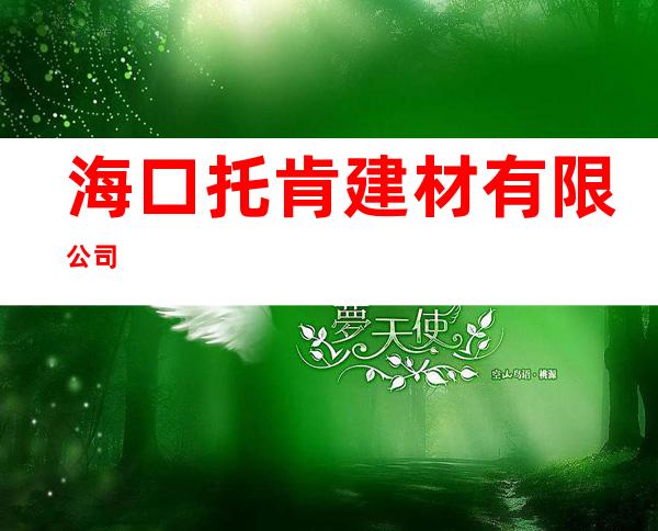 海口托肯建材有限公司