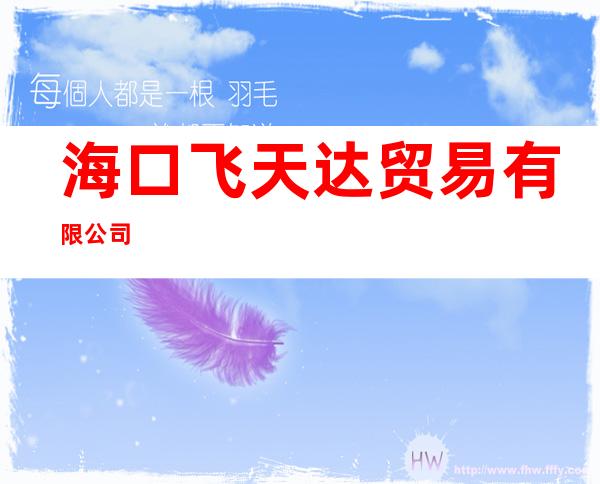 海口飞天达贸易有限公司