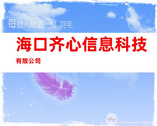 海口齐心信息科技有限公司