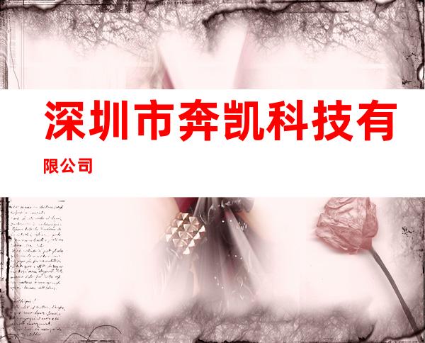 深圳市奔凯科技有限公司