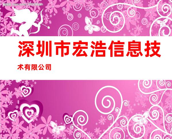深圳市宏浩信息技术有限公司