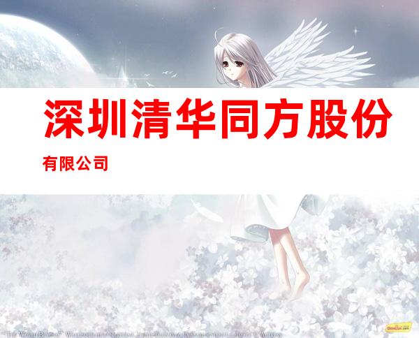 深圳 清华同方股份有限公司