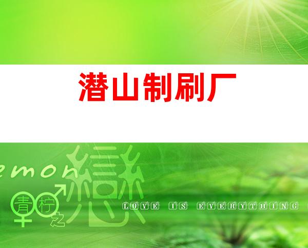 潜山制刷厂