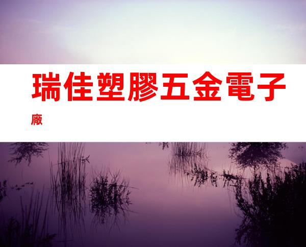 瑞佳塑膠五金電子廠