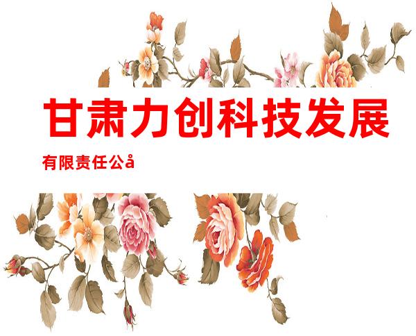 甘肃力创科技发展有限责任公司