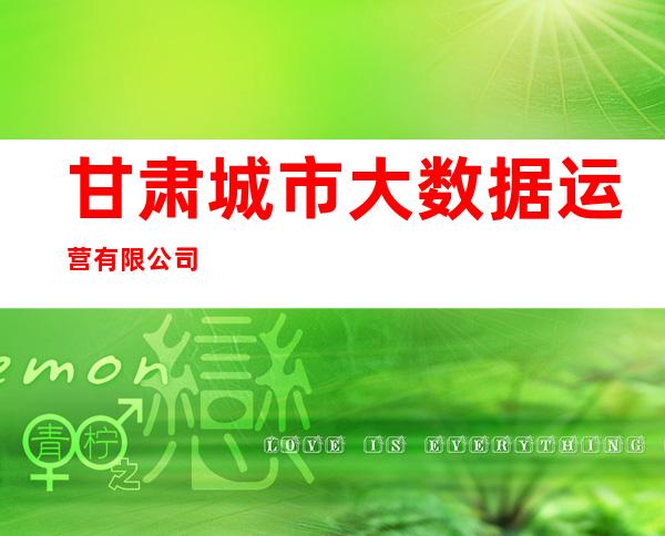 甘肃城市大数据运营有限公司