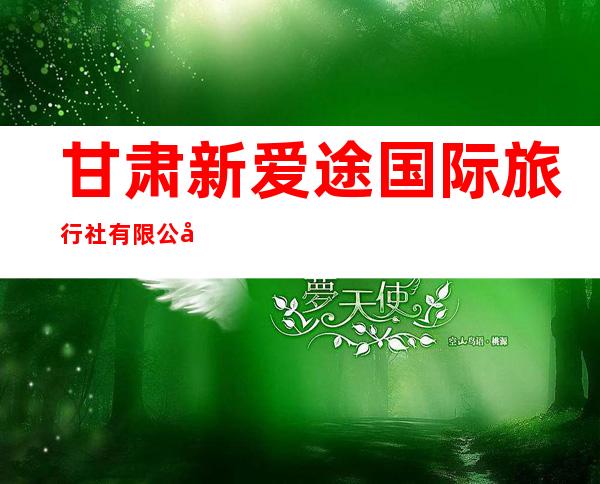 甘肃新爱途国际旅行社有限公司