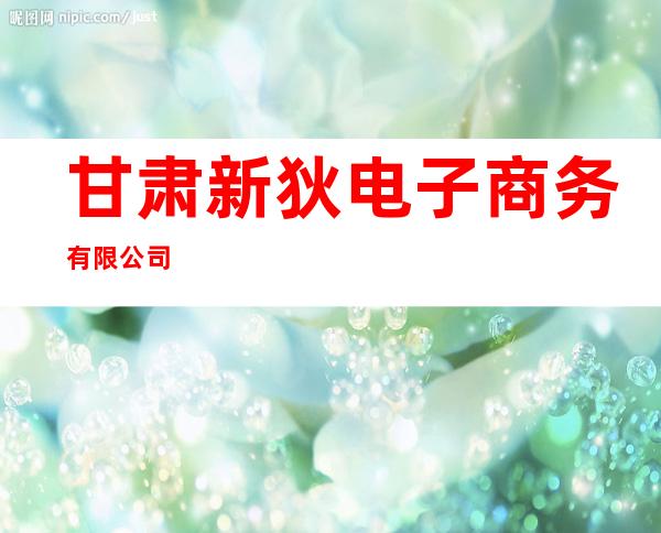 甘肃新狄电子商务有限公司