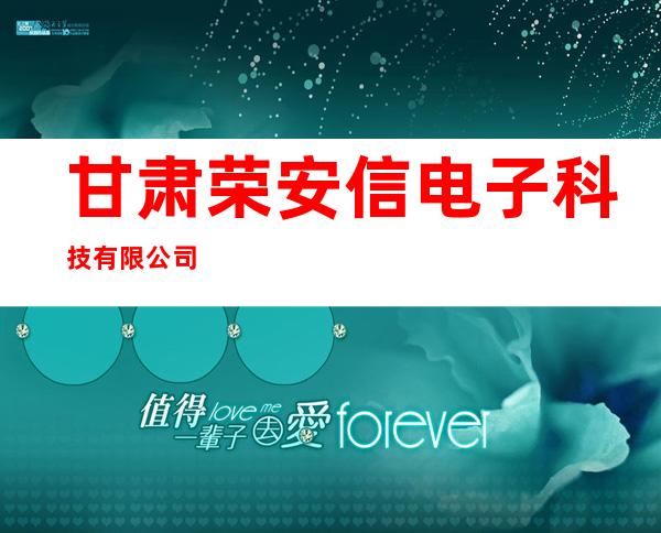 甘肃荣安信电子科技有限公司