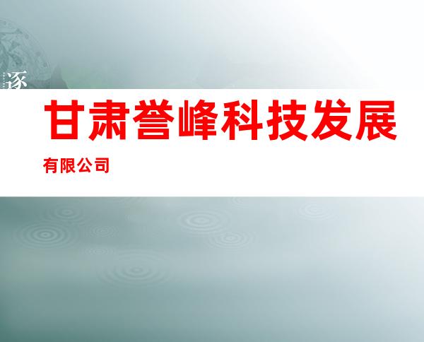 甘肃誉峰科技发展有限公司