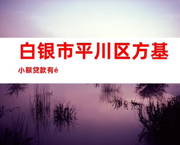 白银市平川区方基小额贷款有限责任公司