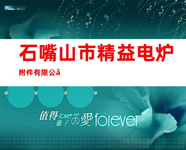 石嘴山市精益电炉附件有限公司