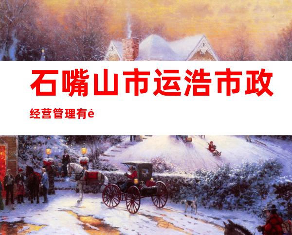 石嘴山市运浩市政经营管理有限公司