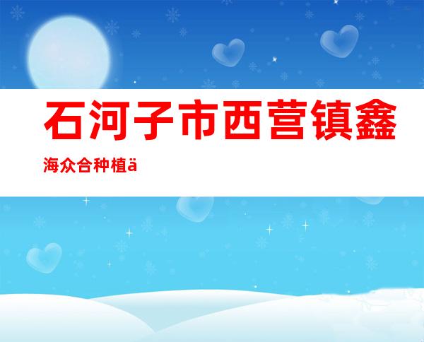 石河子市西营镇鑫海众合种植专业合作社