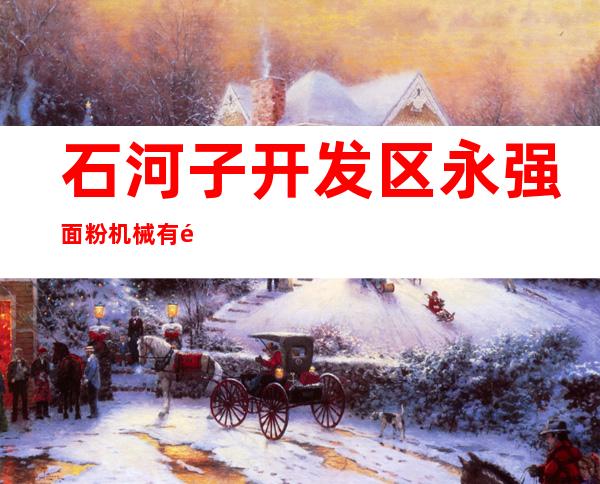 石河子开发区永强面粉机械有限责任公司