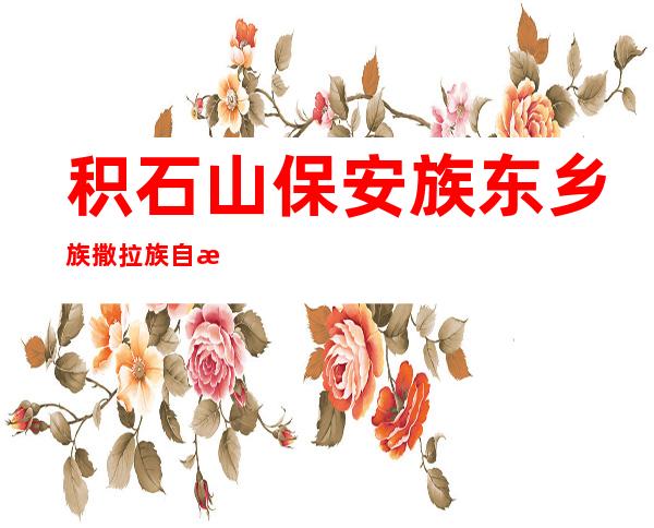 积石山保安族东乡族撒拉族自治县农村信用合作联社