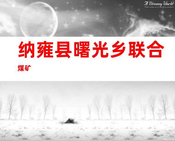 纳雍县曙光乡联合煤矿