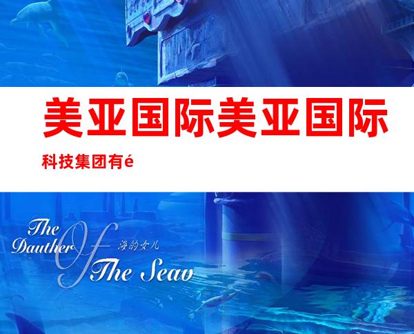 美亚国际美亚国际科技集团有限公司重庆cool龙团队
