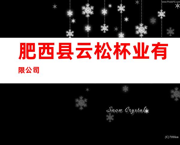 肥西县云松杯业有限公司
