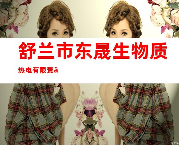 舒兰市东晟生物质热电有限责任公司
