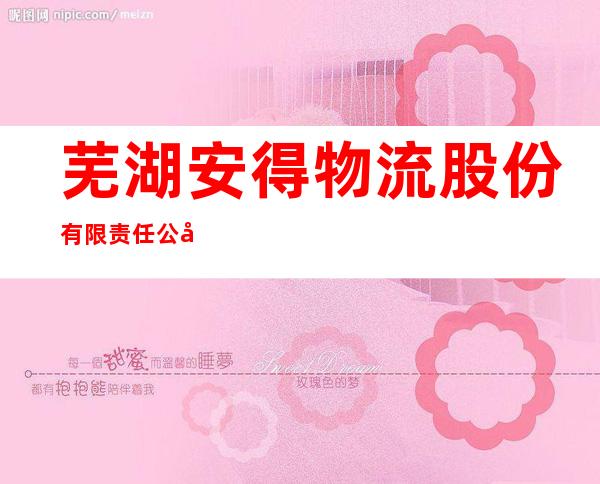 芜湖安得物流股份有限责任公司