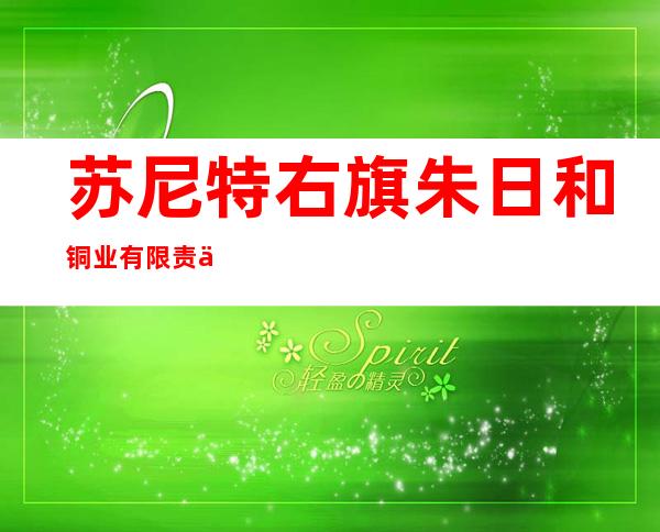 苏尼特右旗朱日和铜业有限责任公司