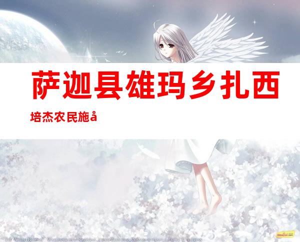 萨迦县雄玛乡扎西培杰农民施工队