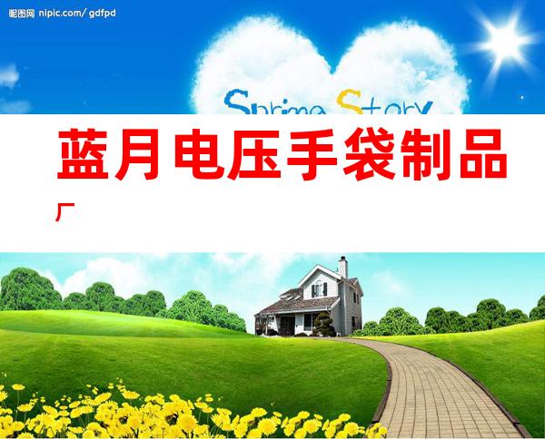 蓝月电压手袋制品厂