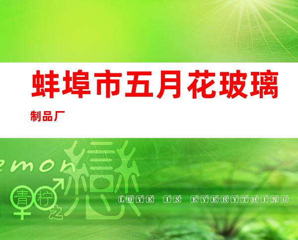 蚌埠市五月花玻璃制品厂
