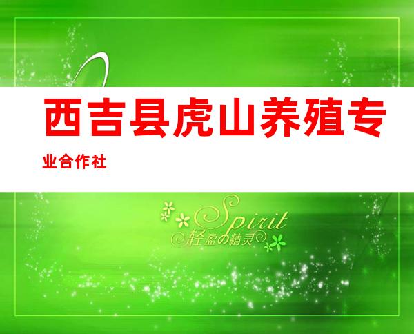 西吉县虎山养殖专业合作社