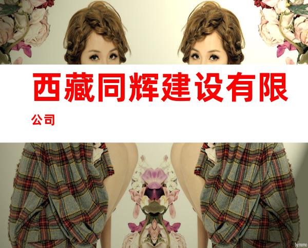 西藏同辉建设有限公司