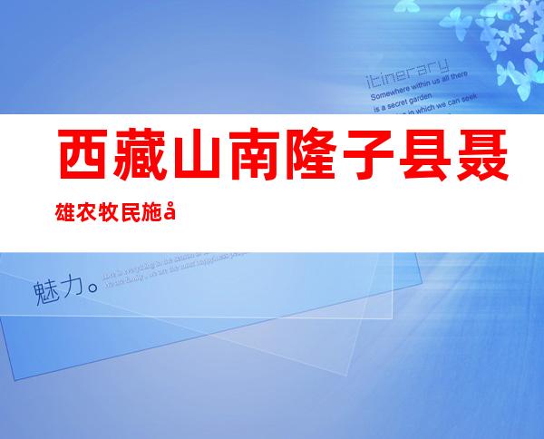 西藏山南隆子县聂雄农牧民施工队