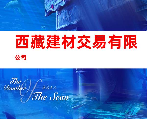 西藏建材交易有限公司