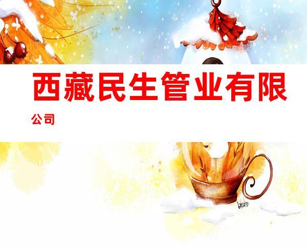 西藏民生管业有限公司
